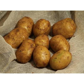Картофель семенной "Украинская ранняя" 1кг