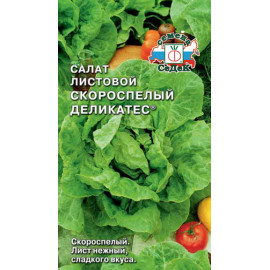 Салат Скороспелый деликатес (лист) (Седек)