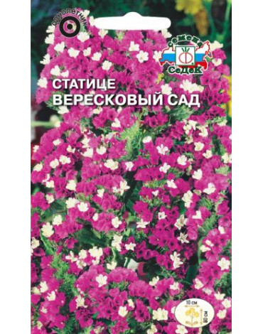 Статице Вересковый сад густо-розовая (Седек)