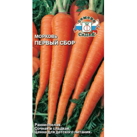 Морковь Первый сбор (Седек) б/п
