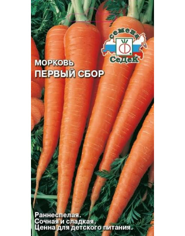 Морковь Первый сбор (Седек) б/п