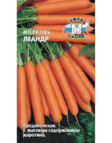 Морковь Леандр (Седек)