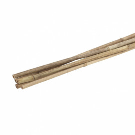 Поддержка бамбуковая d10мм,150см (5шт) GBS-10-150 GREEN APPLE