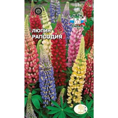 Люпин Рапсодия смесь (Седек)