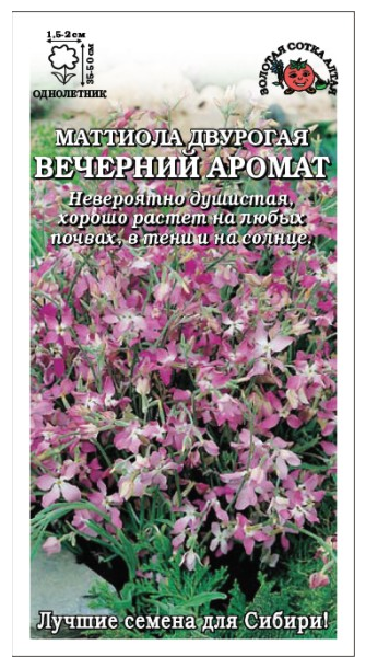 Маттиола Вечерний аромат двурогая (Сотка) б/п