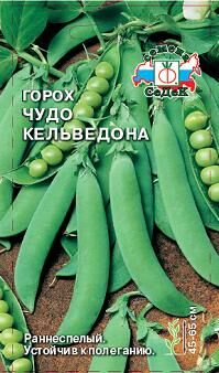 Горох Чудо Кельведона (Седек)