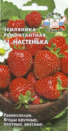 Земляника Настенька F1(Седек)