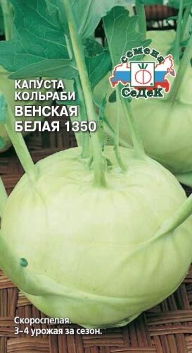 Капуста коль. Венская белая 1350 (Седек)