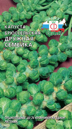 Капуста брюс. Дружная семейка (Седек)