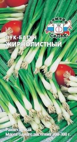 Лук батун Жирнолистный (Седек)