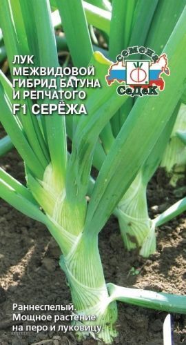 Лук батун Серёжа F1 (Седек)