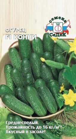 Огурец Конни F1 (Седек)