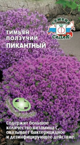 Тимьян ползучий Пикантный (Седек)