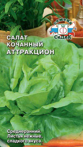 Салат Аттракцион (коч) (Седек)
