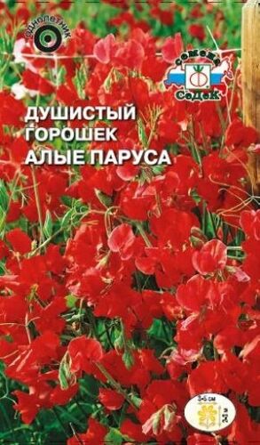 Душистый горошек Алые паруса (Седек)
