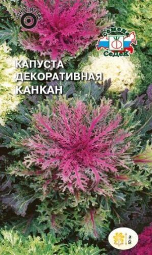 Капуста Канкан декоративная смесь (Седек)