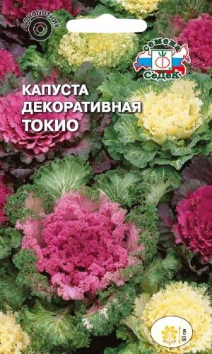 Капуста Токио декоративная смесь (Седек)