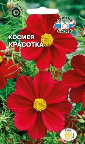 Космея Красотка (космос) (Седек)
