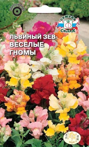 Львиный зев Весёлые гномы смесь (Седек)
