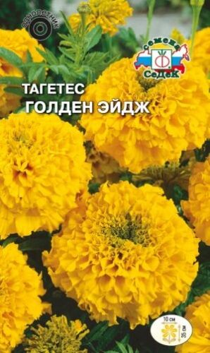 Тагетес Голден Эйдж прямостоячий (Седек)