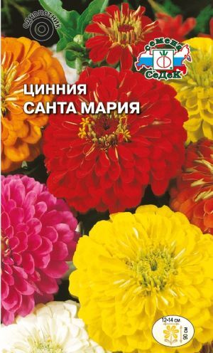 Цинния Санта - Мария смесь (Седек)