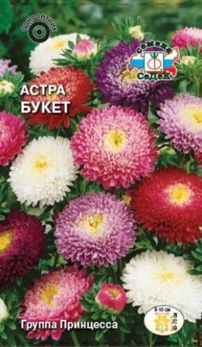 Астра Букет принцесса смесь (Седек)