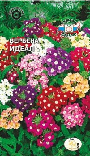 Вербена Идеал смесь (Седек)