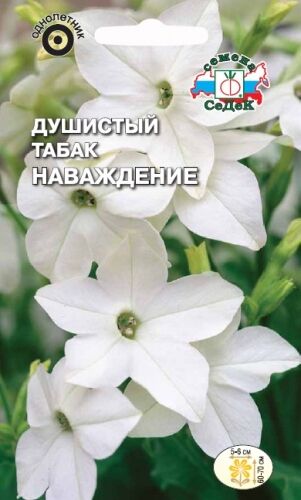 Душистый табак Наваждение (Седек)