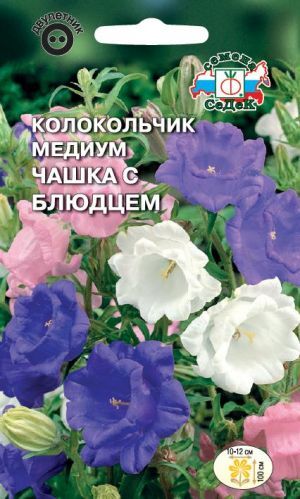 Колокольчик Чашка с Блюдцем медиум смесь (Седек)