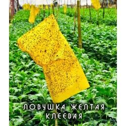 Ловушка жёлтая клеевая (0,25*0,1м) 10шт
