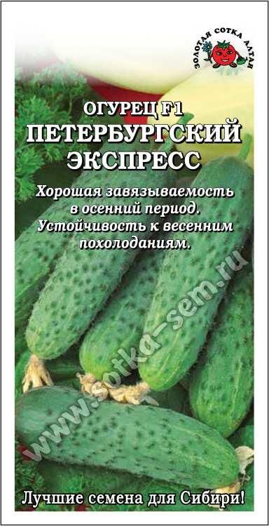 Огурец Петербургский Экспресс F1 (Сотка)