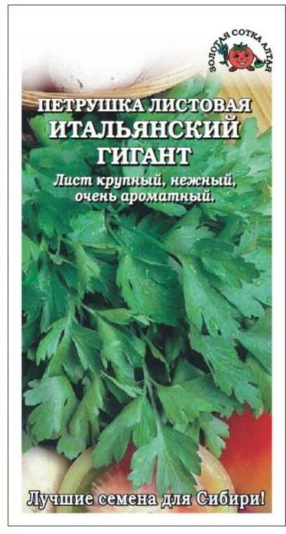 Петрушка Итальянский гигант листовая (Сотка) б/п