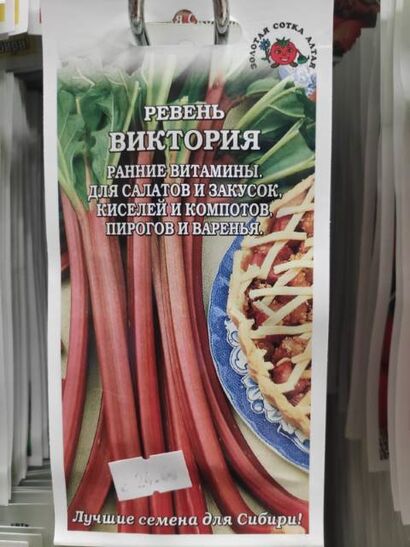 Ревень черешковый Виктория (Сотка)