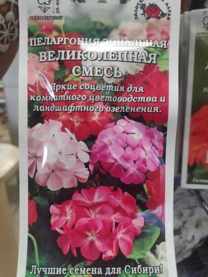 Пеларгония (герань) Великолепная смесь (Сотка)
