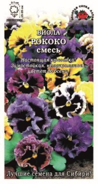 Виола Рококо (Сотка)