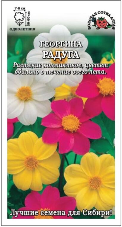 Георгина Радуга  (Сотка)