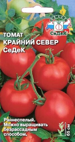 Томат Крайний север СеДеК (Седек)