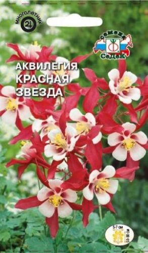Аквилегия Красная звезда (Седек)