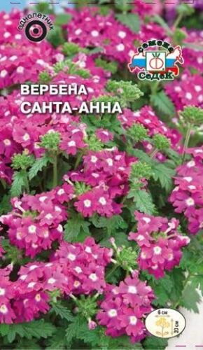 Вербена Санта - Анна (Седек)