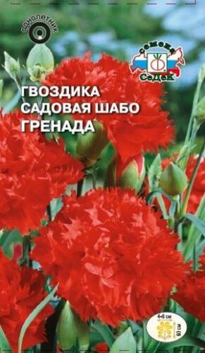 Гвоздика шабо Гренада (Седек)