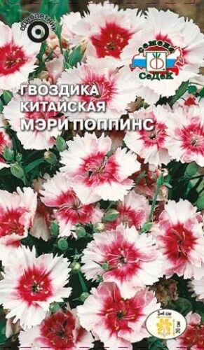 Гвоздика китайская Мэри Поппинс (Седек)