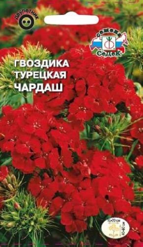 Гвоздика турецкая Чардаш (Седек)