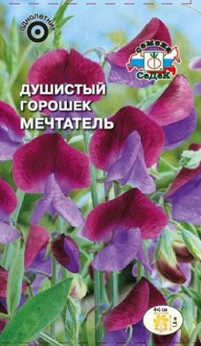 Душистый горошек Мечтатель (Седек)