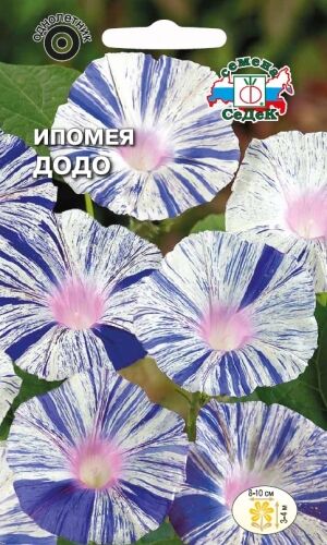 Ипомея Додо (Седек)