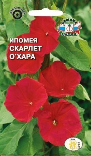 Ипомея Скарлет О'Хара алая (Седек)
