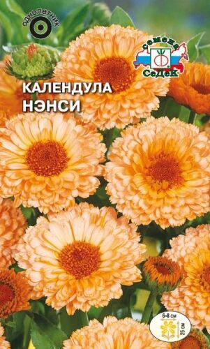 Календула Нэнси лекарственная (Седек)