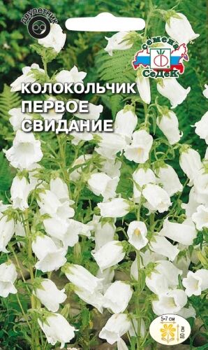 Колокольчик Первое свидание медиум (Седек)