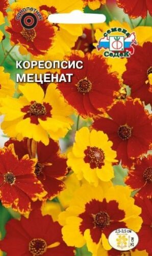 Кореопсис Меценат (Седек)