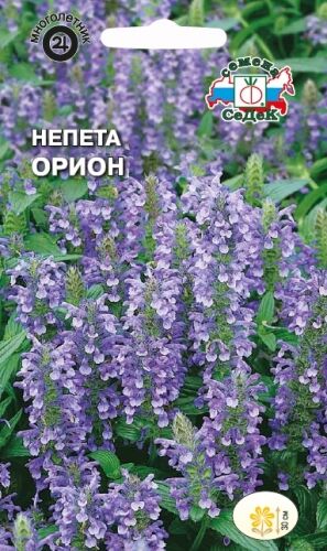 Непета (котовник) Орион (Седек)