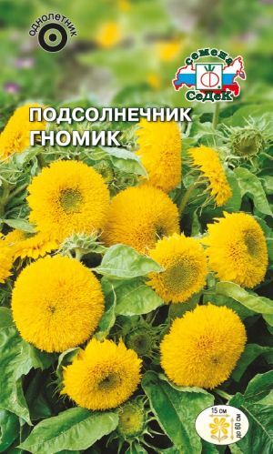 Подсолнечник Гномик (Седек)